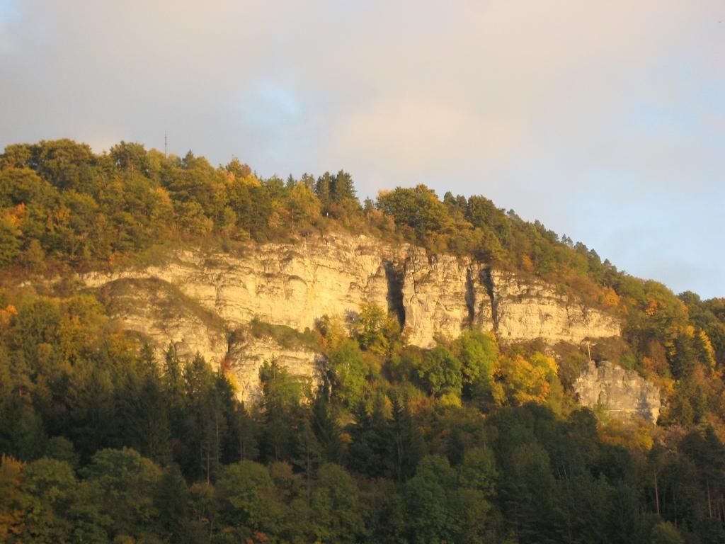 Oberndorf am Neckar Gaestehaus Krone חדר תמונה