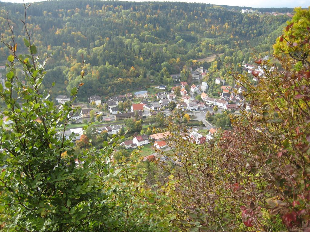 Oberndorf am Neckar Gaestehaus Krone חדר תמונה